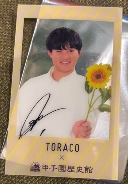 阪神タイガース 森下翔太選手 甲子園歴史館チェキ 入場特典 トラコ TORACO