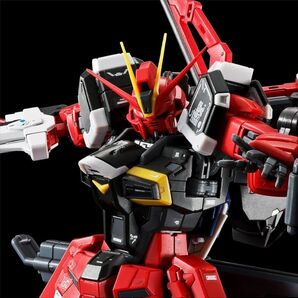 【未組立】RG ソードインパルスガンダムSpecII