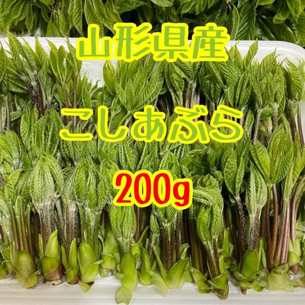 山形県産 こしあぶら