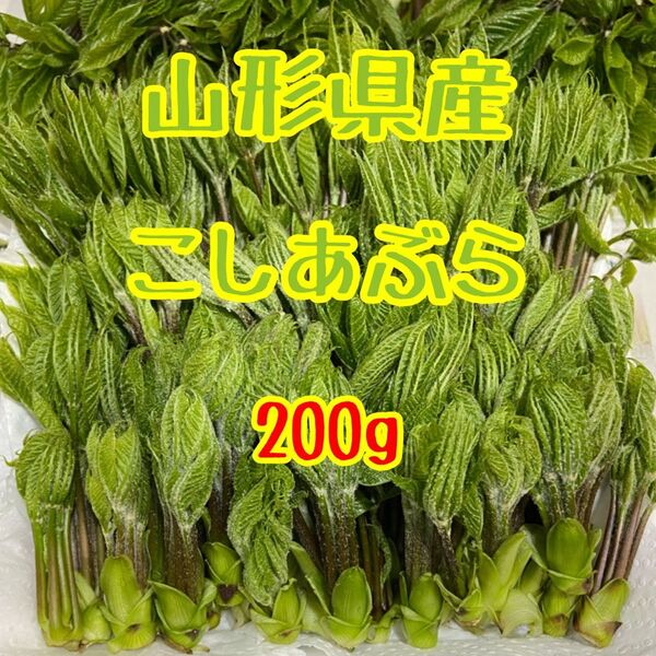 山形県産 こしあぶら