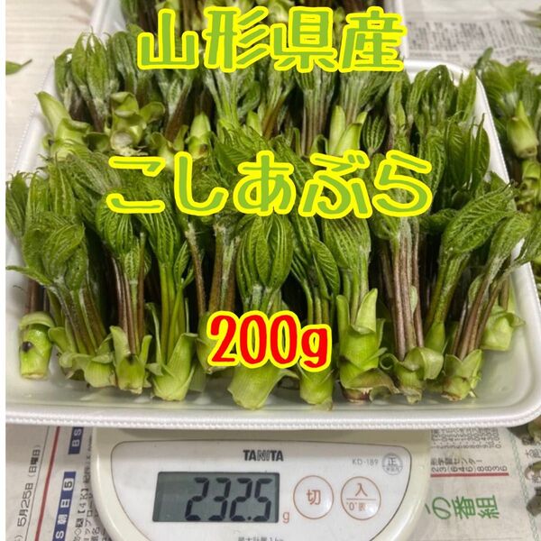 山形県産 こしあぶら