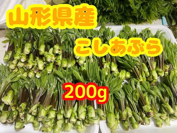 山形県産 こしあぶら