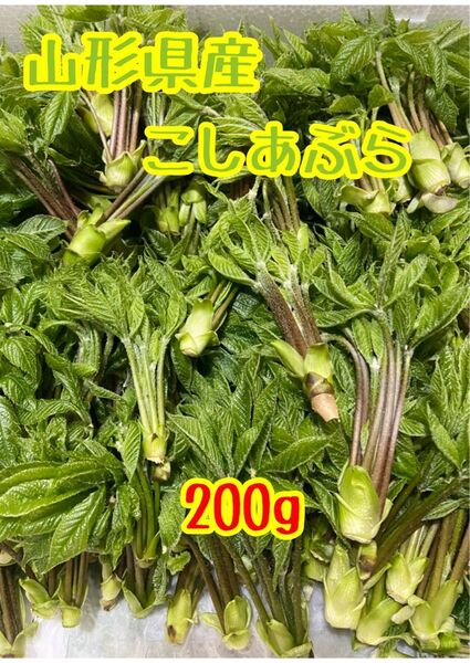 山形県産 こしあぶら