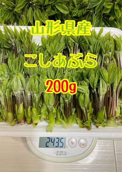 山形県産 こしあぶら
