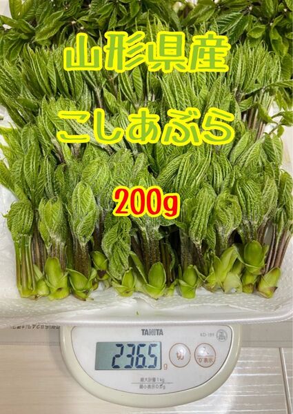 山形県産 こしあぶら
