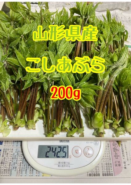 山形県産 こしあぶら