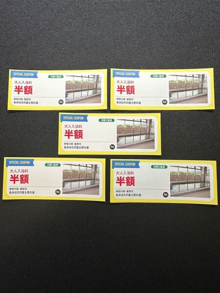 神奈川県 秦野市 名水はだの富士見の湯 大人入浴料半額 5枚セット