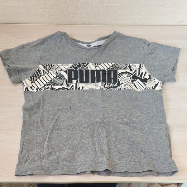 PUMA プーマ ロゴTシャツ キッズ 130 グレー