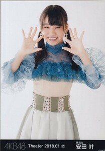 AKB48 安田叶 Theater 2018.01 (2) 月別 生写真 チュウ