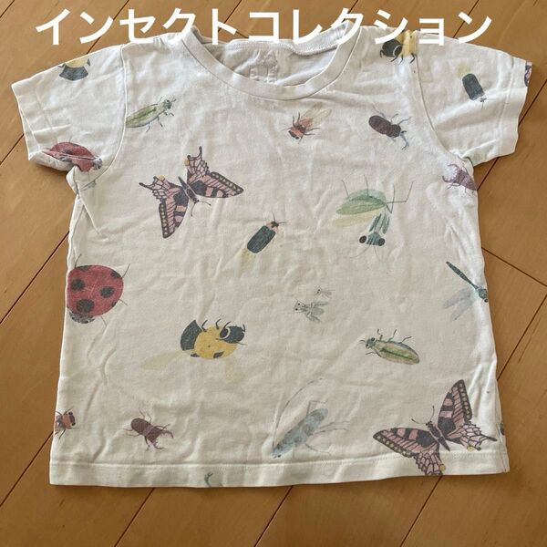 インセクトコレクション Tシャツ カマキリ先生 120-130 昆虫柄Tシャツ Lサイズ