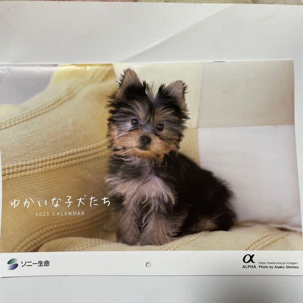 未使用 ソニー生命 ゆかいな子犬たち 壁掛けカレンダー2025
