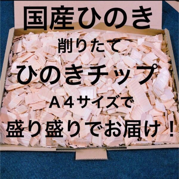 SALE!日本製 感謝価格!! 削りたて ひのき ウッドチップ 天然素材100%