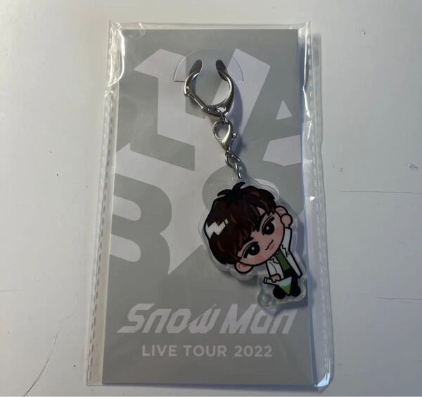 snowman 阿部亮平 すのチルぶら下がりシリーズ アクリルキーホルダー