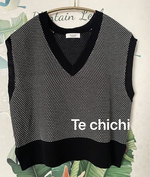 Te chichi Vネックニットベスト フリーサイズ 春夏秋
