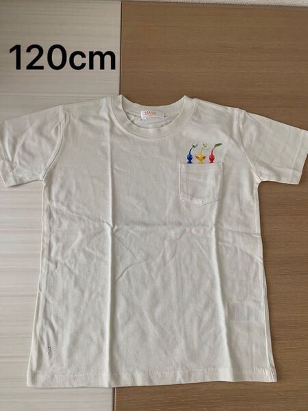 穴あり 任天堂 ピクミン Tシャツ 男の子 半袖 女の子 Tシャツ 120cm