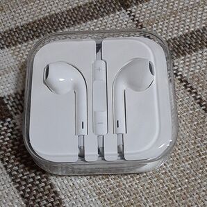 Apple 有線イヤホン earpods ハードケース付き