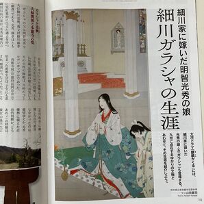 ■ 細川ガラシャ 仙巌園 嬉野温泉 チキン南蛮 Please No.394