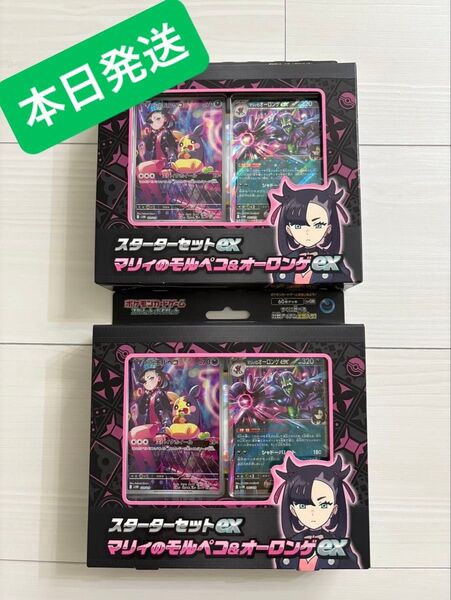 ポケモンカード スターターセットex マリィのモルペコ& オーロンゲex 2点