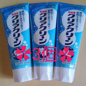 ☆クリアクリーン エクストラクール120g×3個☆