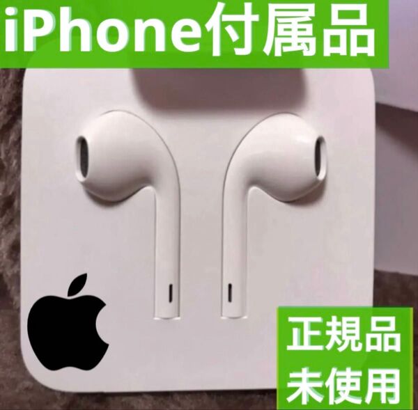iPhone付属品 純正イヤホン ライトニング形状 Apple正規品 Lightning
