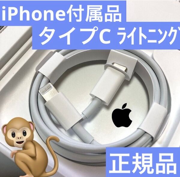 iPhone充電器 タイプC lightningケーブル ライトニング Apple純正品 正規品 USB-C