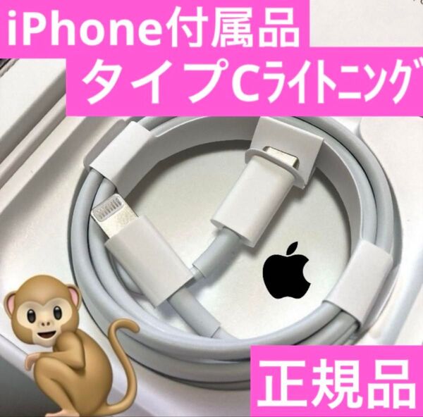 iPhone充電器 タイプC lightningケーブル ライトニング Apple純正品 正規品 USB-C