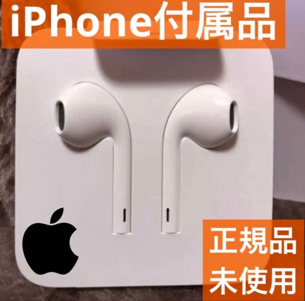 iPhone付属品 純正イヤホン ライトニング形状 Apple正規品 Lightning Apple
