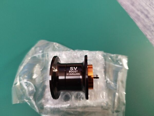 ダイワ 24 STEEZ SV TW 100HL 純正スプール
