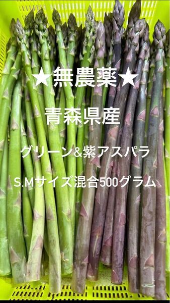★無農薬★ 即買OK!! 青森県産 朝採り新鮮 グリーン、紫アスパラ 500g!