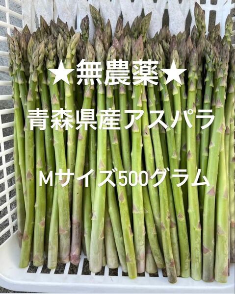 ★無農薬★ 青森県産 朝採り新鮮 アスパラガス A品 Mサイズ500g!!