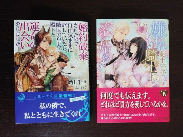 嫌われ転生王子だけど、つれない騎士様と恋を始めたい (角川ルビー文庫 R175-16) chi‐co/著