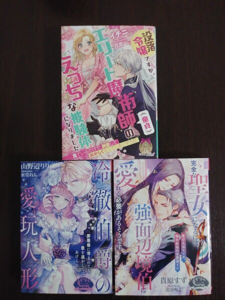 没落令嬢ですが、エリート魔術師〈童貞〉のえっちな被験体になりました (ティアラ文庫) イチニ/著