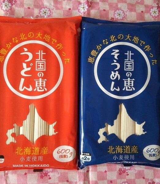 北海道産『北国の恵 うどん 600g』『北国の恵 そうめん 600g』食べ比べセット 計1.2kg 北海道産小麦使用 藤原製麺