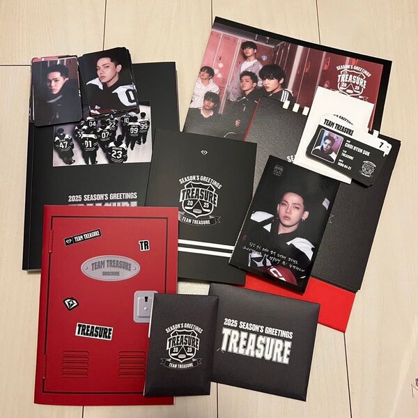 TREASURE シーグリ2025 teamTREASURE アイスホッケー カレンダー ランダム無 ランダム以外抜けなし 箱無し