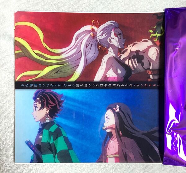 鬼滅の刃 鬼滅シアター キャラクター フライヤー & クリアファイルセット 遊郭編 竈門兄妹 堕姫 妓夫太郎