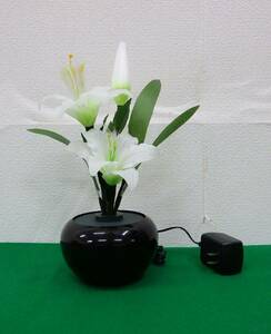 [ exhibition goods liquidation ] tray lantern natural flower. . comparatively ruminas light 2 number lili. reality goods special price 