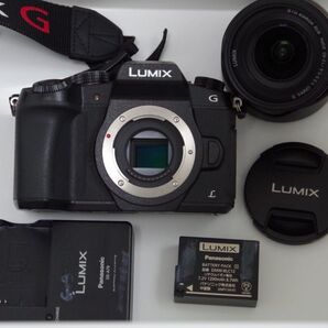 LUMIX G8 標準ズームレンズキット DMC-G8M-K