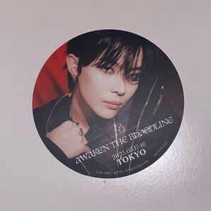 &TEAM NICHOLAS ニコラス コースター アジアツアー