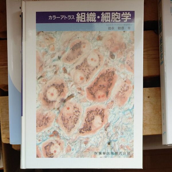 カラーアトラス 組織・細胞学 歯科医師国試対策