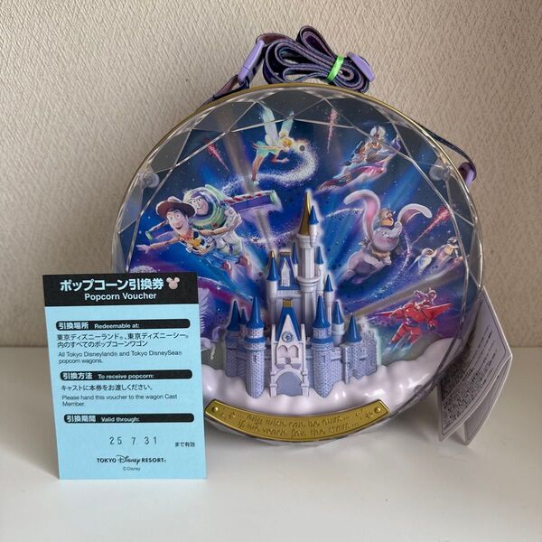 ディズニーランド リーチフォーザスターズ ポップコーンバケット 引換券付き