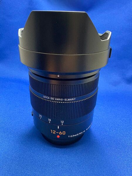 Panasonic LEICA DG VARIO-ELMARIT 12-60mm
