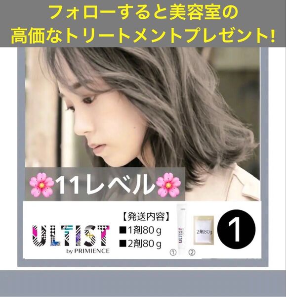 資生堂 ヘアカラー アルティスト プリミエンス【トリートメント イルミナカラー 等 同梱割有おまとめはコメントくださいませ】