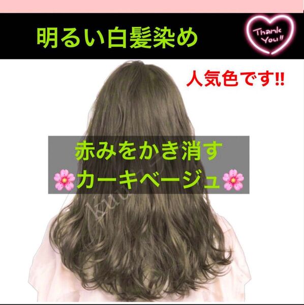 スロウ 白髪染め ヘアカラー 【プリミエンス イルミナカラー トリートメント など!同梱割有おまとめはコメントくださいませ】