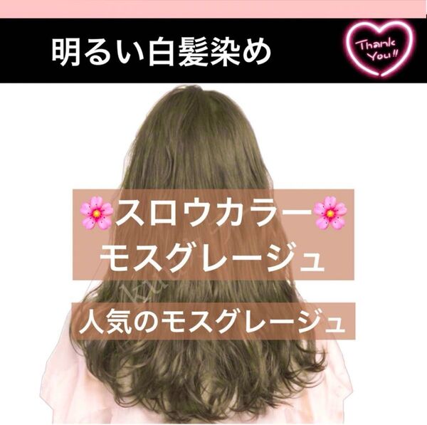 スロウ 白髪染め ヘアカラー 【プリミエンス イルミナカラー トリートメント など!同梱割有!おまとめはコメントくださいませ】