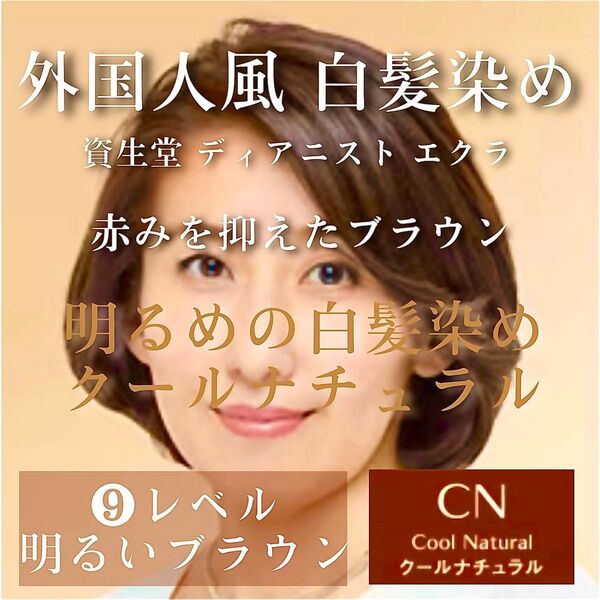 資生堂 ディアニスト エクラ 白髪染め ヘアカラー 【プリミエンス イルミナカラー トリートメント 同梱割有コメントくださいませ】