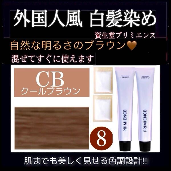 資生堂 プリミエンス 【ホワイトブリーチ剤 スロウ 白髪染め トリートメント 同梱割引有 コメント下さい】