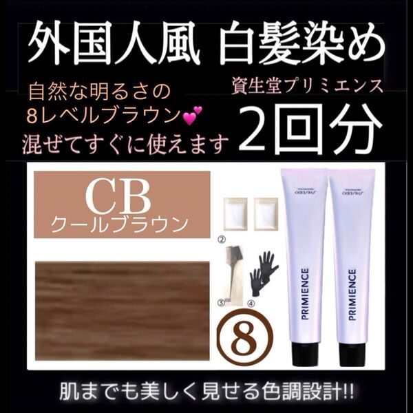 資生堂 プリミエンス 【ホワイトブリーチ剤 スロウ 白髪染め トリートメント 同梱割引有 コメント下さい】