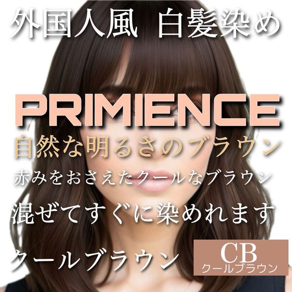 資生堂 プリミエンス 【ホワイトブリーチ剤 イルミナカラー アディクシー トリートメント 同梱割引有 コメント下さい】