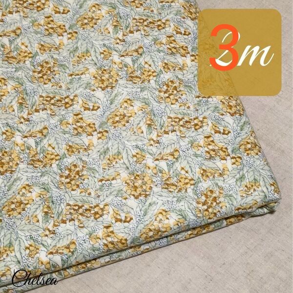 3m 木の実柄 ブラウン系 国産 綿100%/ コットン 日本製 キルト 洋裁 花柄 ボタニカル柄 植物柄 生地 グリーン 明茶
