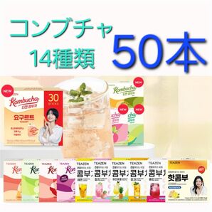 TEAZEN ティーゼン コンブチャ 14種類 選択可能 各5g ×50
